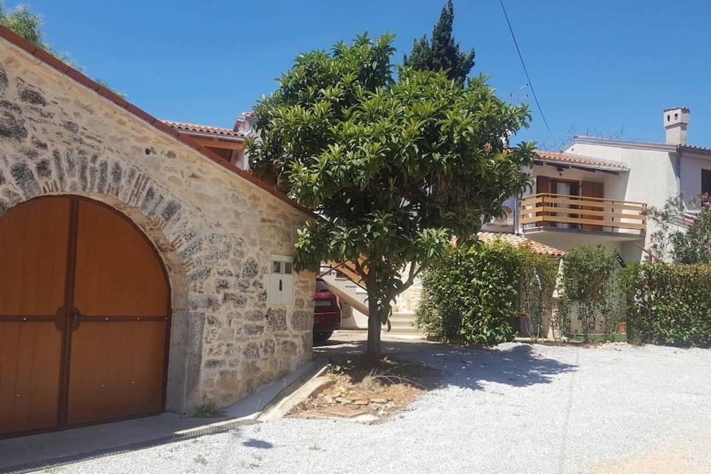 Apartmán Casa Rustica Buici  Exteriér fotografie